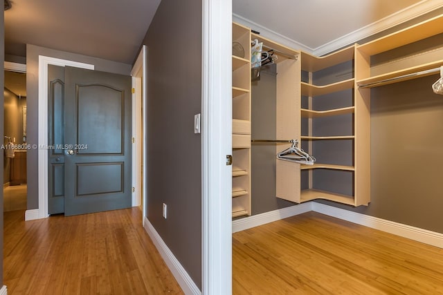 walk in closet featuring wood-type flooring