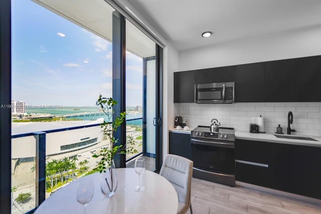 kitchen featuring appliances with stainless steel finishes, a water view, tasteful backsplash, light hardwood / wood-style flooring, and sink