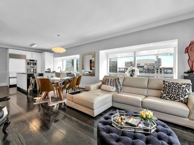 living room featuring dark hardwood / wood-style floors