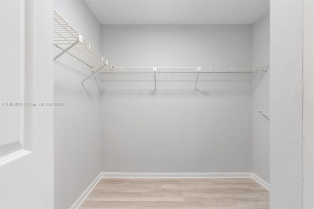 walk in closet featuring light hardwood / wood-style flooring