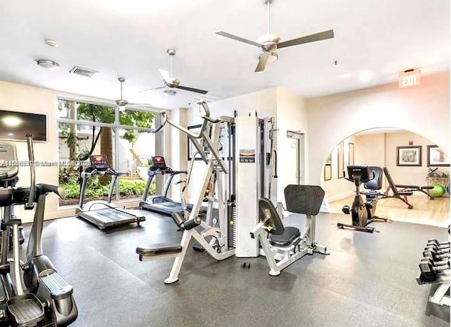 workout area with expansive windows and ceiling fan