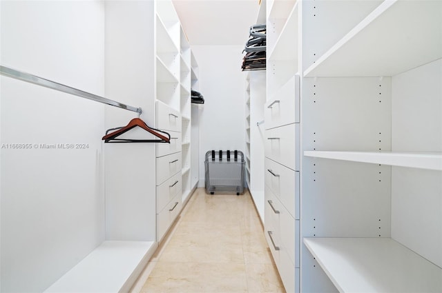 view of walk in closet