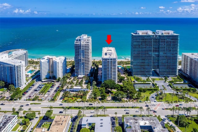 bird's eye view featuring a city view and a water view