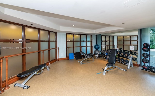 exercise area featuring a raised ceiling