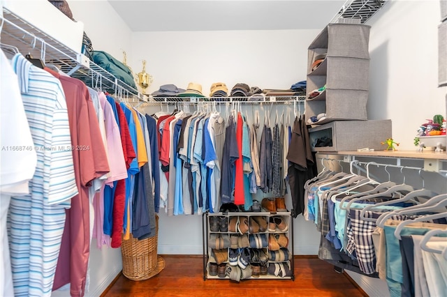 spacious closet with wood-type flooring