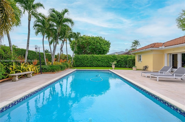 view of swimming pool with a patio area