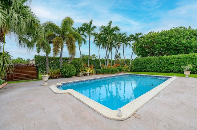 view of pool featuring a patio area