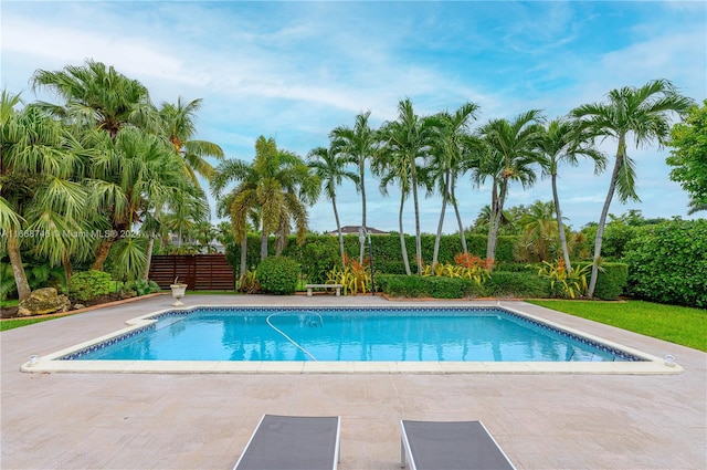 view of swimming pool with a patio