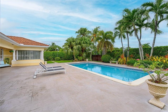 view of pool with a patio