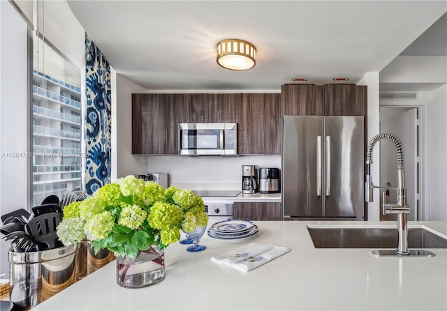 kitchen with appliances with stainless steel finishes, sink, and dark brown cabinets