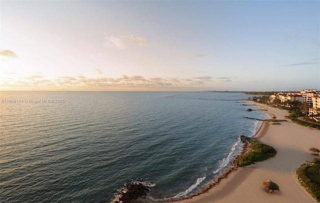 property view of water with a view of the beach