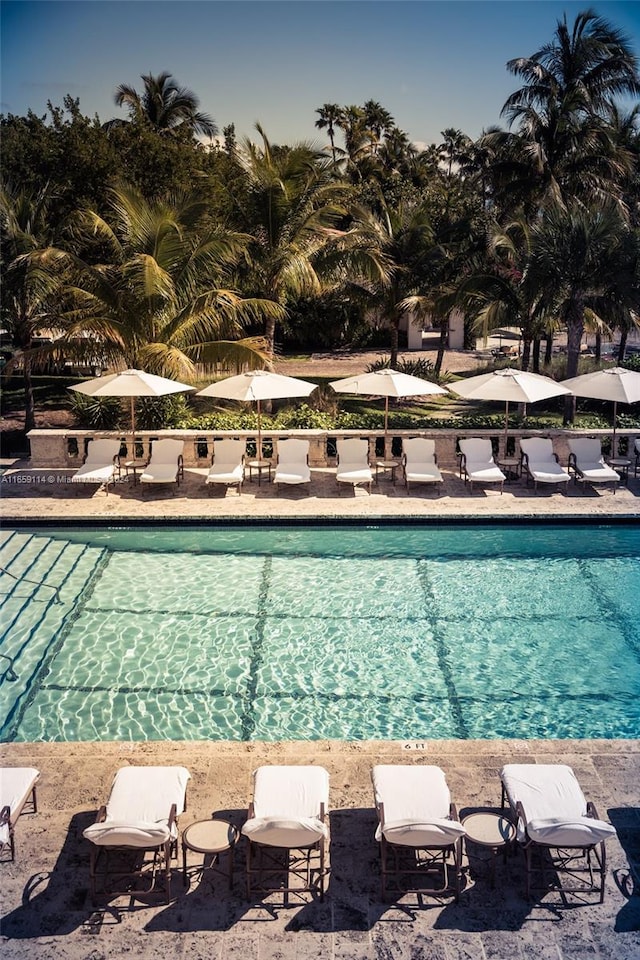 view of swimming pool with a patio area