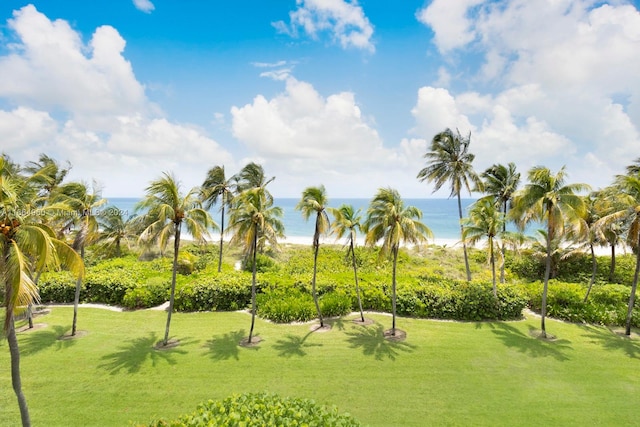 view of property's community featuring a water view and a yard