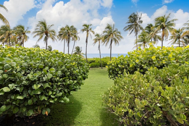 view of nature featuring a water view