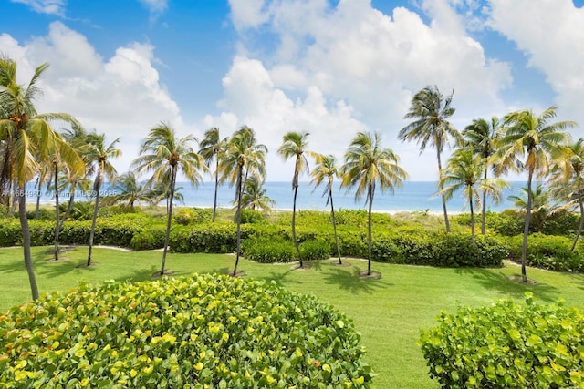201 Crandon Blvd Unit 174, Key Biscayne, FL 33149 - photo 30