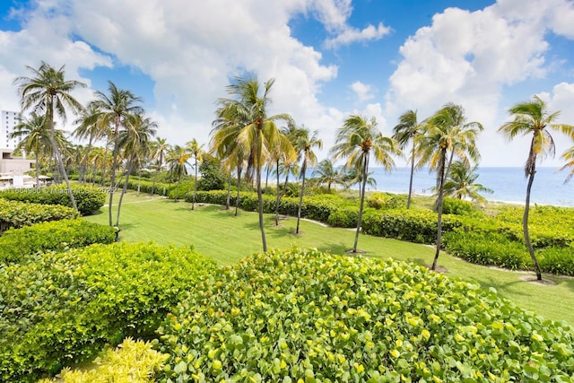 201 Crandon Blvd Unit 174, Key Biscayne, FL 33149 - photo 31
