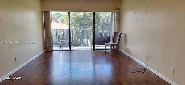 spare room featuring dark wood-type flooring