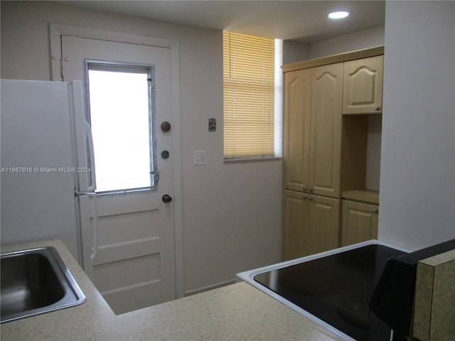 kitchen featuring white refrigerator and sink