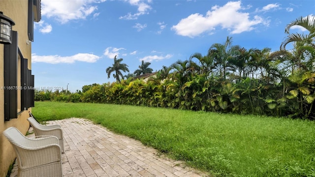 view of yard with a patio area