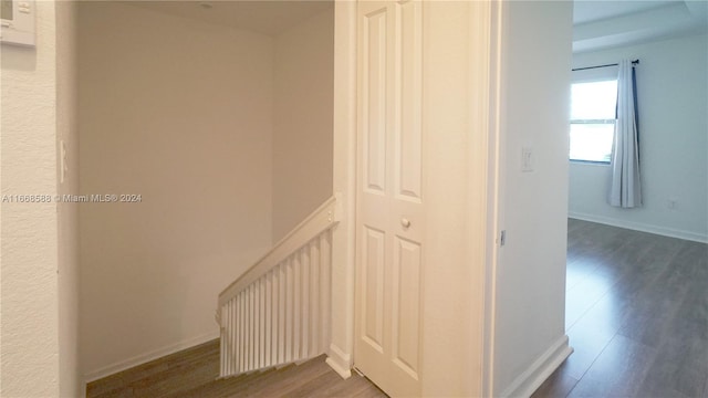 staircase with wood-type flooring