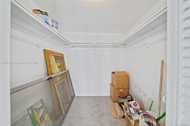 spacious closet with light colored carpet