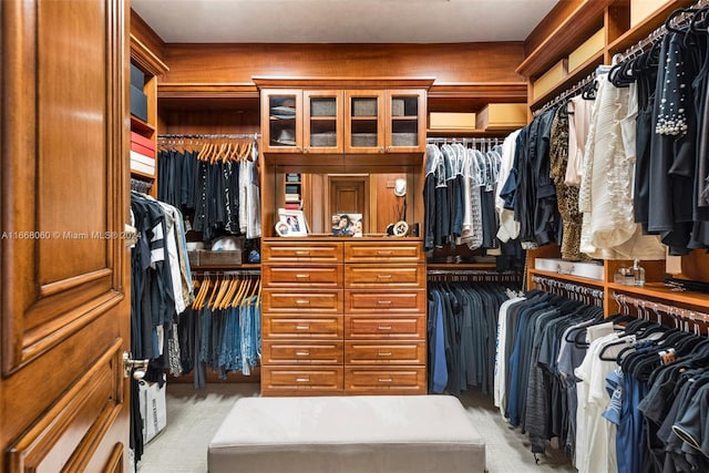 spacious closet with light colored carpet