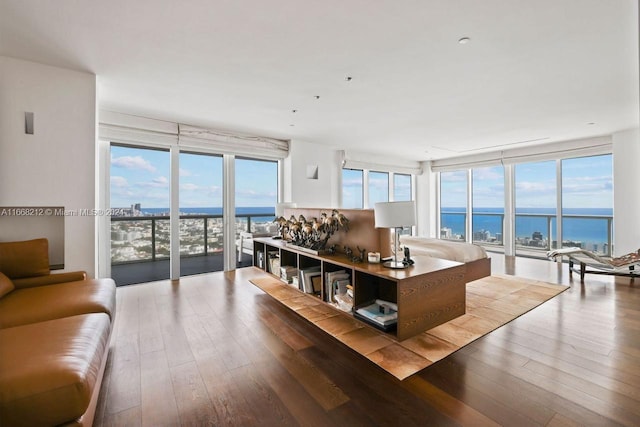 living room featuring wood-type flooring and a water view