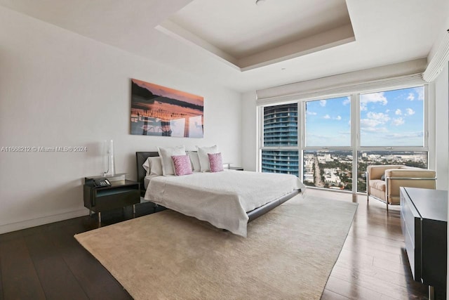 bedroom with a tray ceiling and dark hardwood / wood-style floors