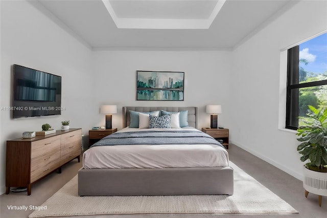 carpeted bedroom with a tray ceiling