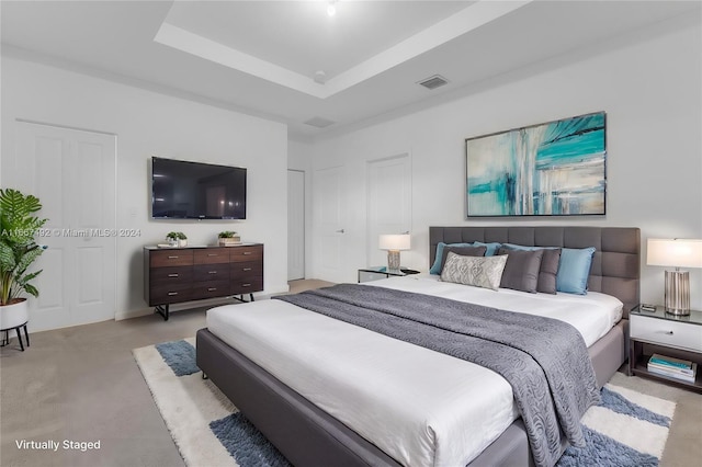 bedroom with a tray ceiling