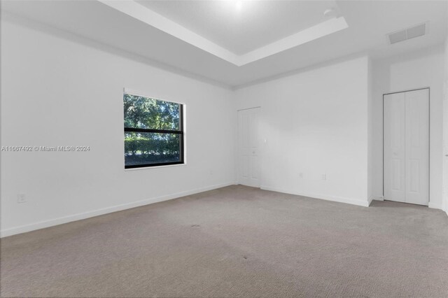 unfurnished room with light colored carpet and a tray ceiling