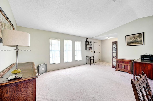 interior space with a textured ceiling, lofted ceiling, and light carpet