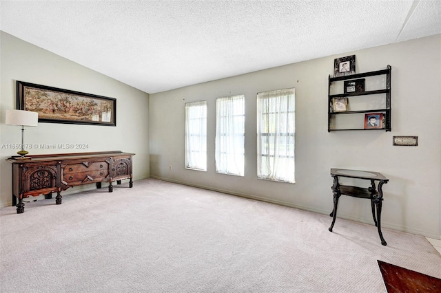 living area with a textured ceiling, vaulted ceiling, and light colored carpet