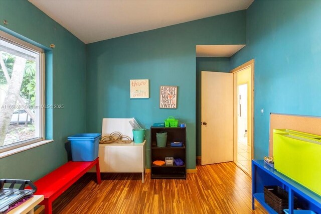 playroom featuring plenty of natural light and wood finished floors