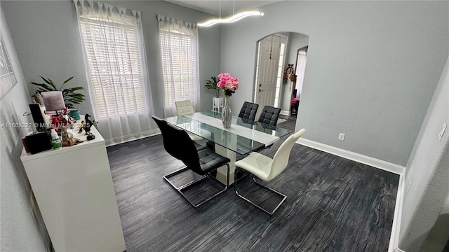 dining room featuring dark wood-type flooring