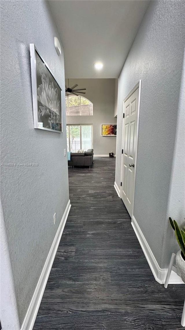 hallway featuring dark hardwood / wood-style floors