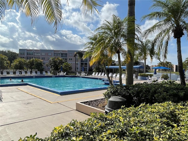 view of swimming pool featuring a patio area