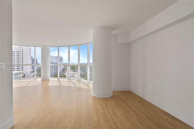 empty room featuring a wealth of natural light, light wood-type flooring, and expansive windows