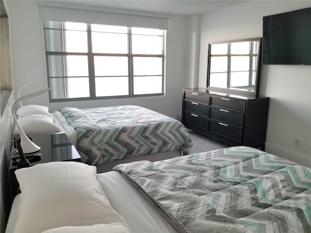 bedroom with carpet flooring