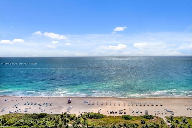 view of water feature featuring a view of the beach