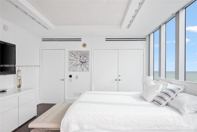 bedroom featuring a closet, multiple windows, dark hardwood / wood-style floors, and a water view