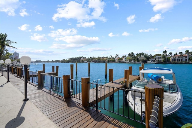 dock area with a water view