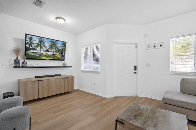 living room with a textured ceiling and light hardwood / wood-style flooring