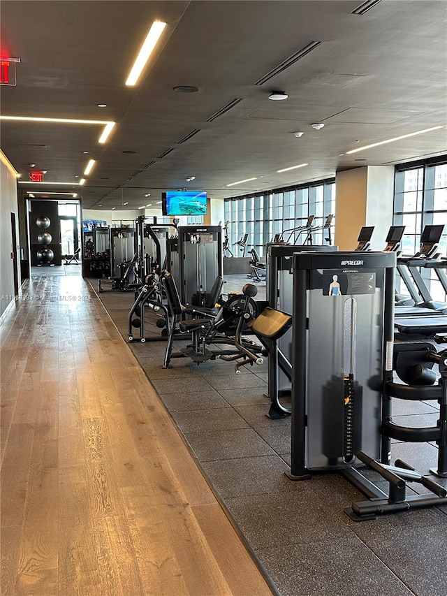 gym featuring wood-type flooring and floor to ceiling windows