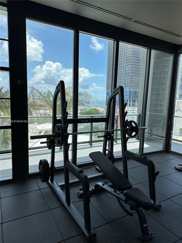 exercise room with a healthy amount of sunlight