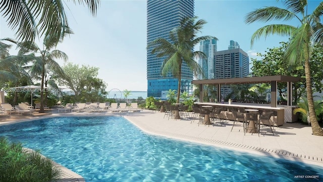 view of pool featuring a patio