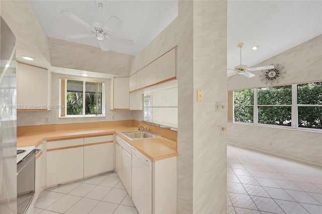 kitchen with stainless steel stove, ceiling fan, plenty of natural light, and sink