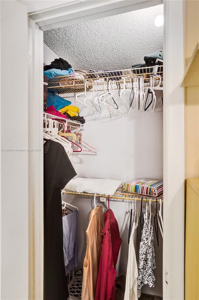 view of closet