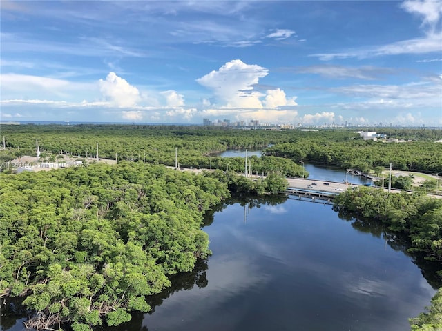 bird's eye view with a water view