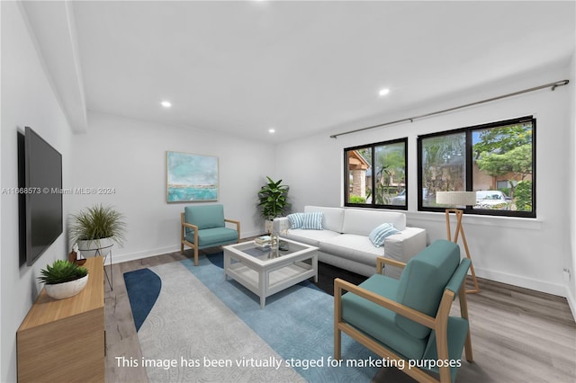 living room with hardwood / wood-style flooring